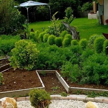 Bed and breakfast La Riera Vic