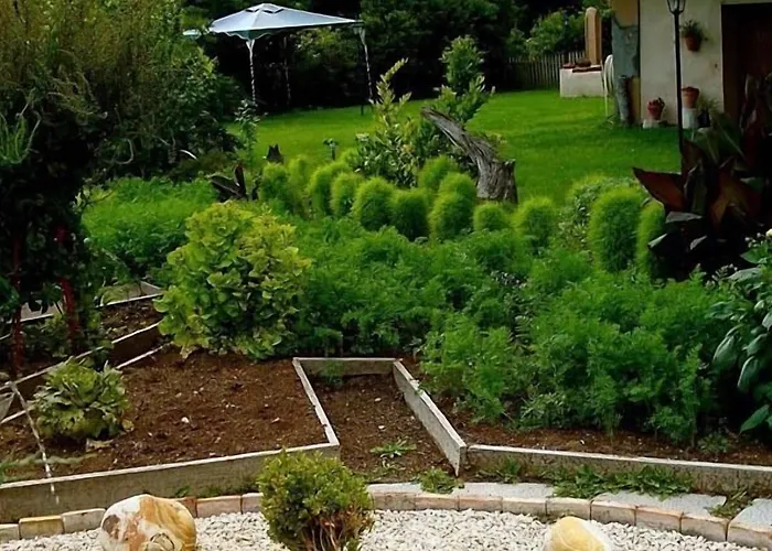 Bed & Breakfast La Riera Vic