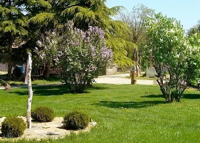 La Riera فيك
