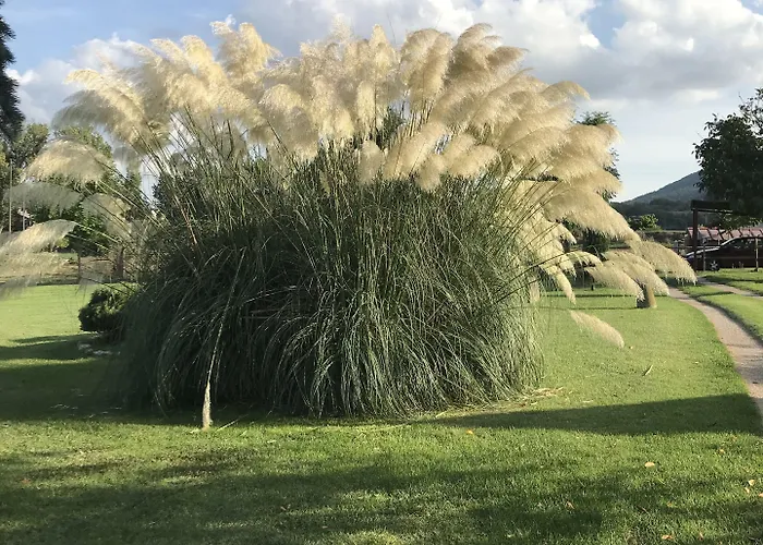 فندق مبيت وإفطار La Riera