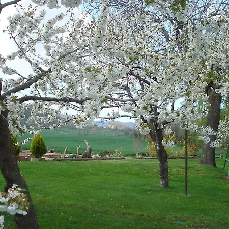 Bed and breakfast La Riera Vic