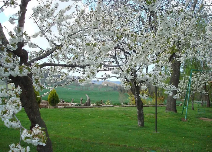 Bed & Breakfast La Riera Vic